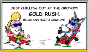 Oronoco Gold Rush Sipping in the Shade